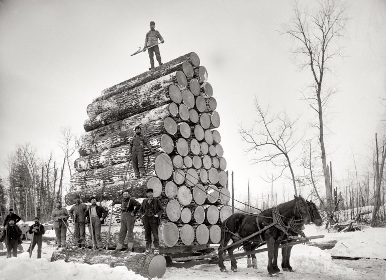 Heart Pine • Beam And Board